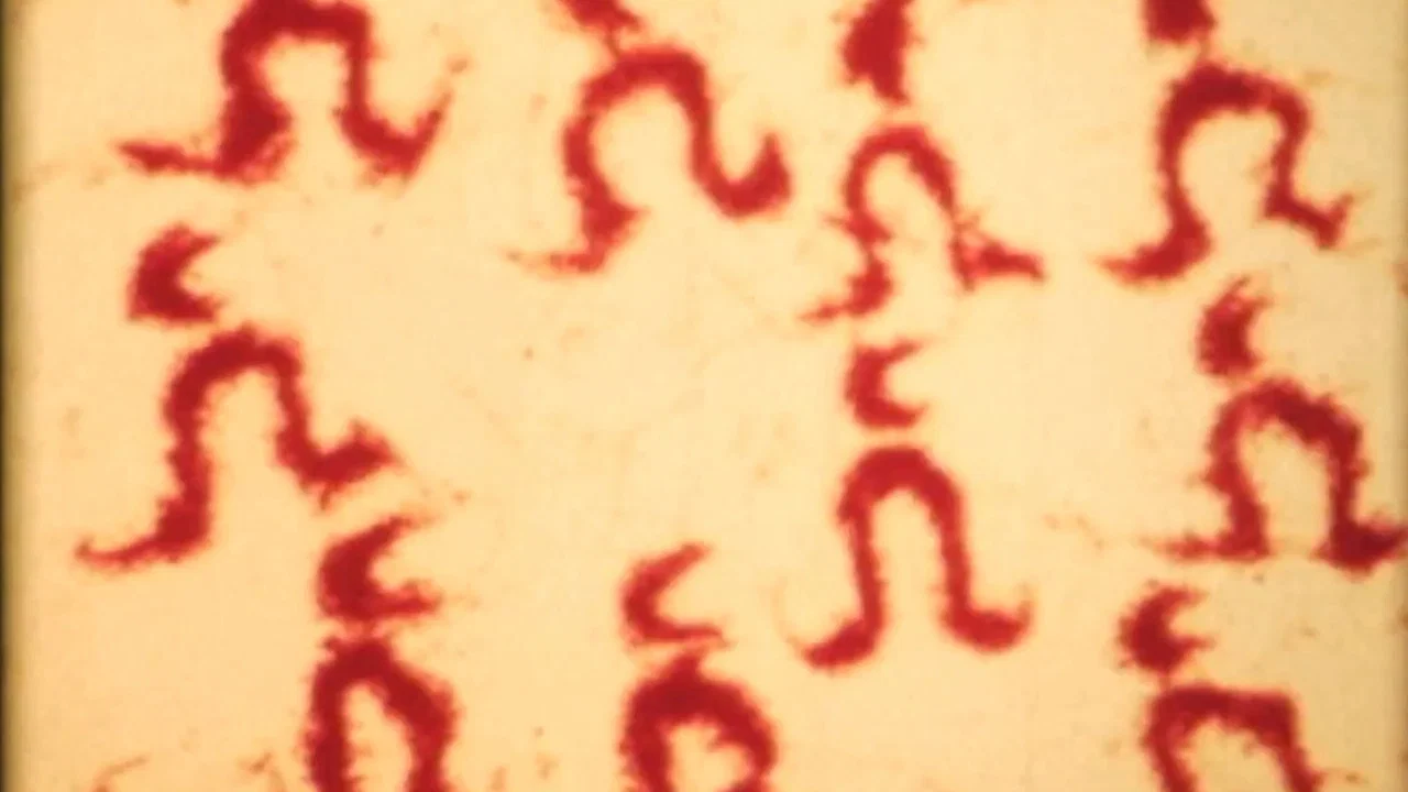 Sandman - 剧照