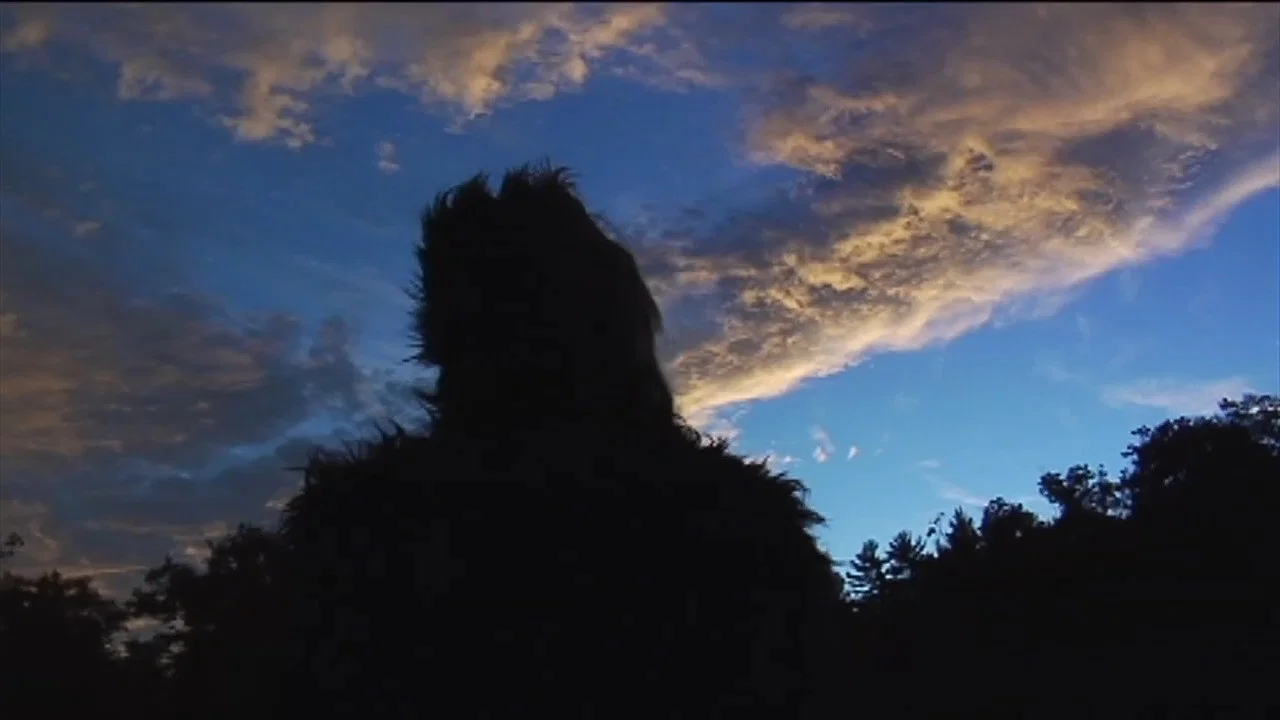 The Bigfoot Diaries - 剧照