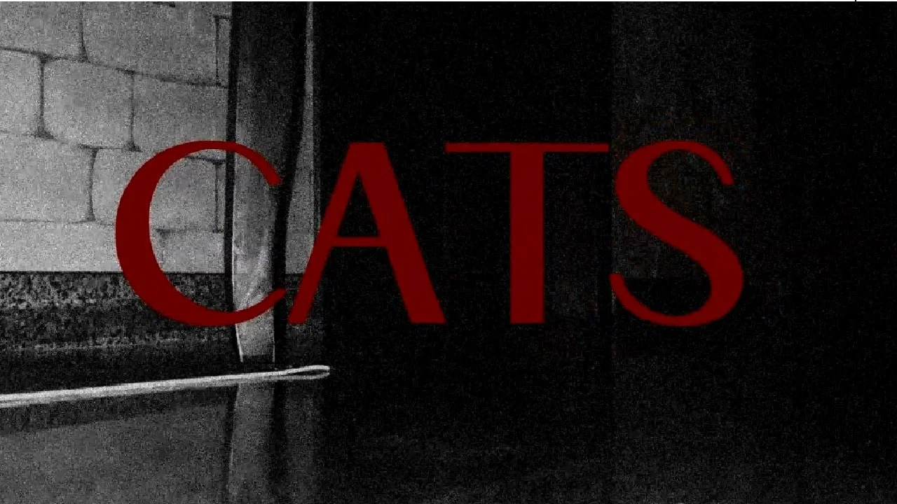 CATS - 剧照