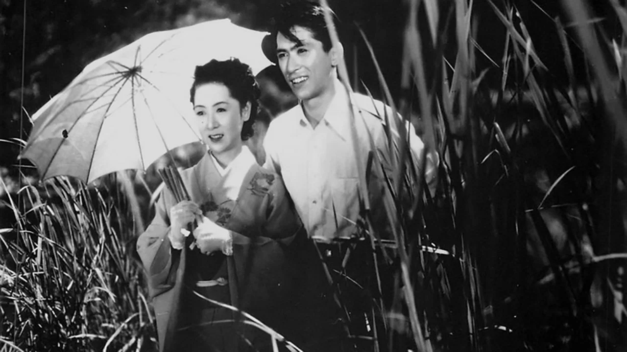 武藏野夫人 - 剧照