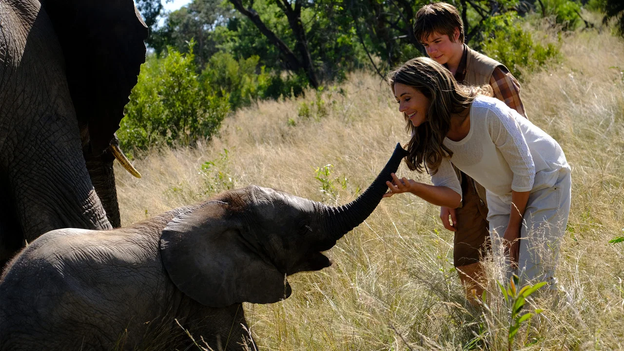 An Elephant's Journey - 剧照