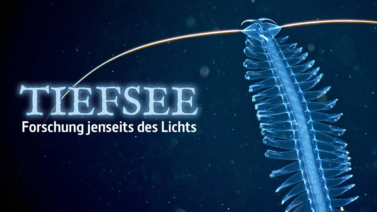 Abysses, la face cach&eacute;e des oc&eacute;ans - 剧照