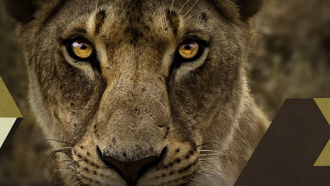 Malika the Lion Queen - 剧照
