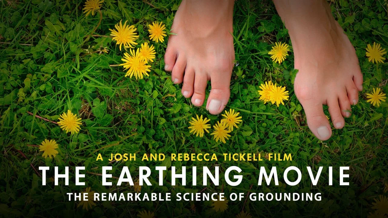 The Earthing Movie - 剧照