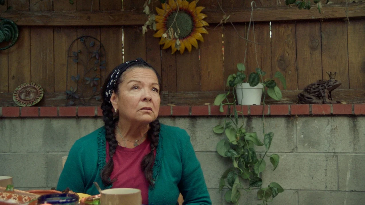 Luc&iacute;a, the Woman Without a Face - 剧照