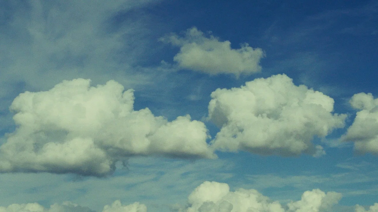 Live a Little - 剧照