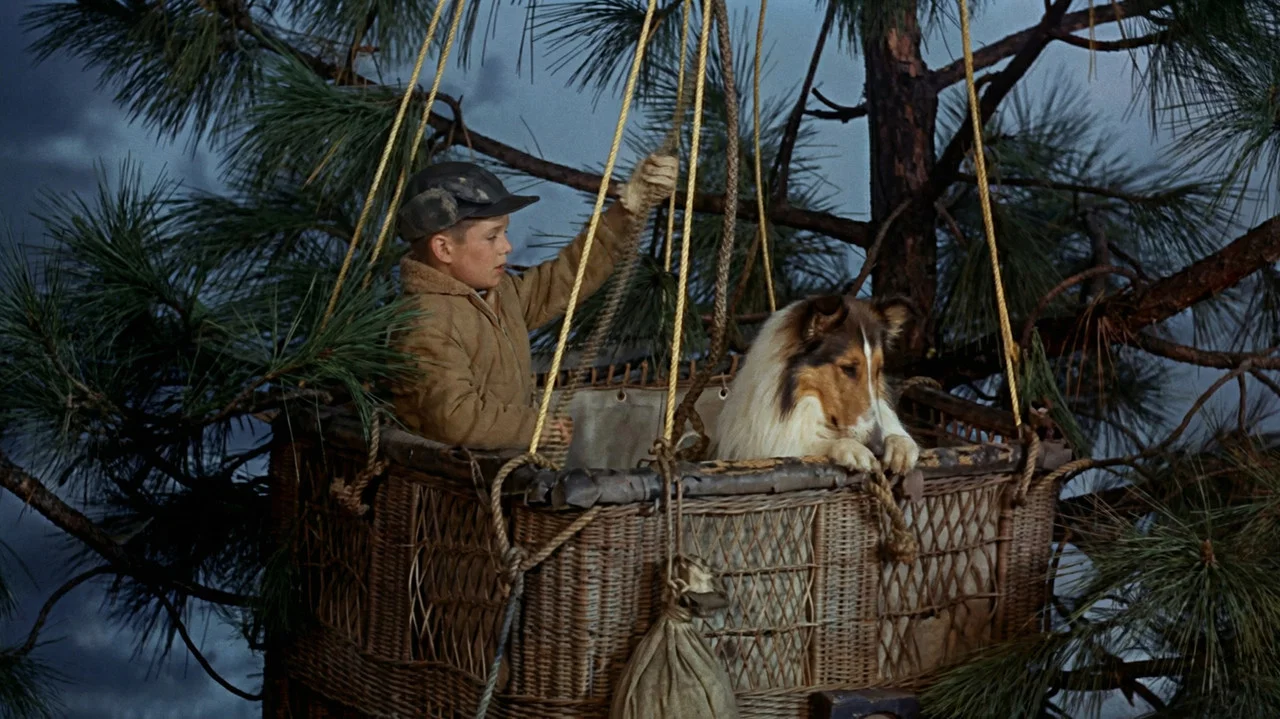 Lassie's Great Adventure - 剧照