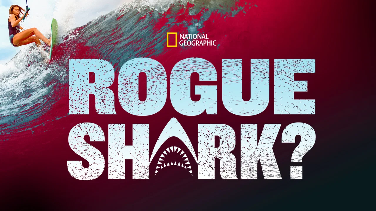 Rogue Shark - 剧照