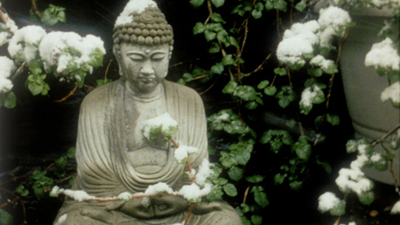 The Odds of Recovery - 剧照