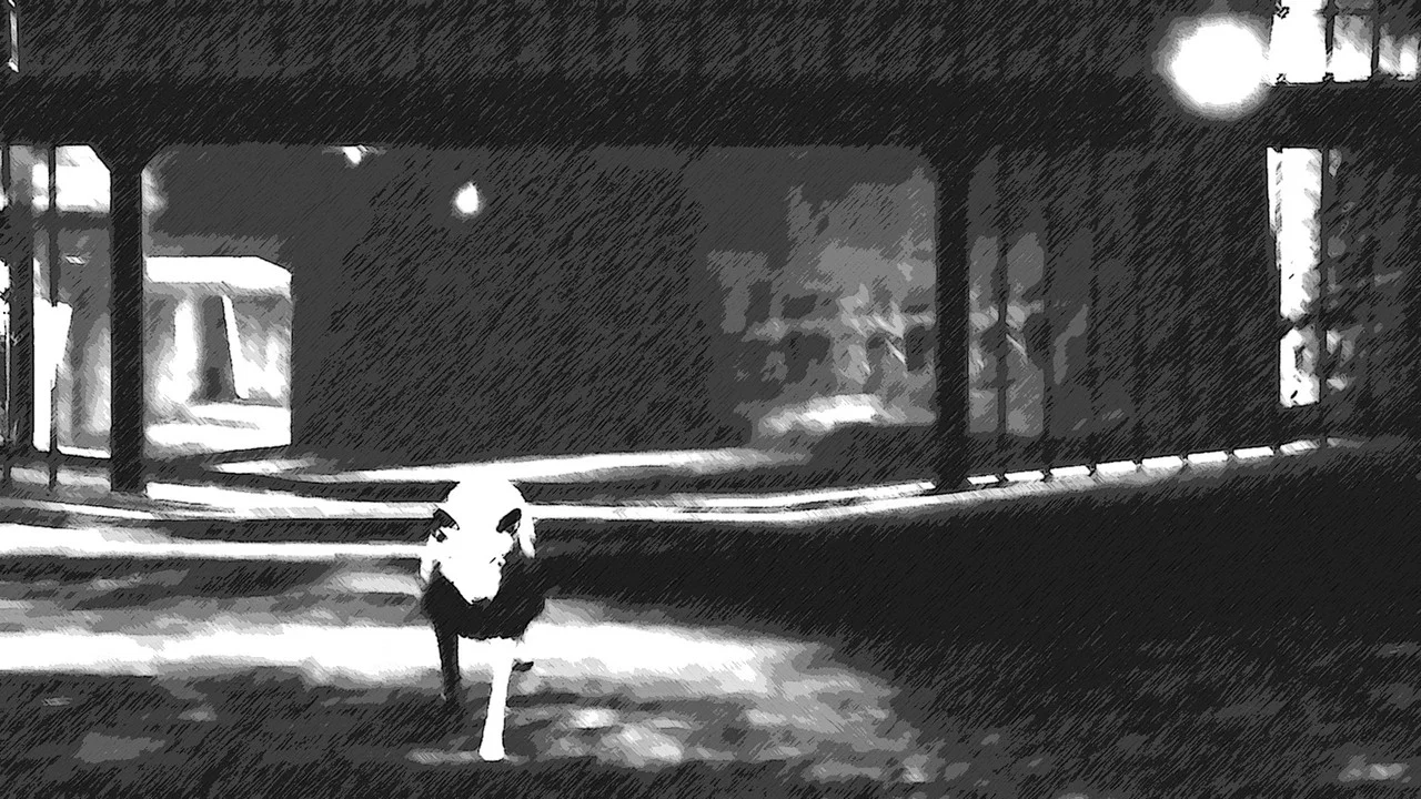 A Coyote Walks - 剧照