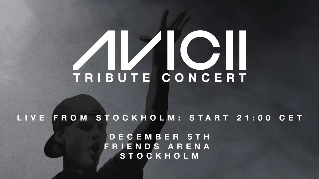 Avicii 致敬音乐会：纪念蒂姆&middot;伯格林 - 剧照