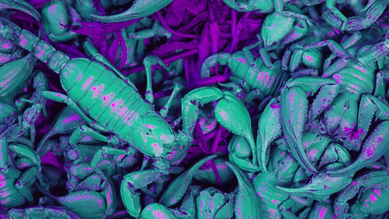 Ultraviolet - 剧照