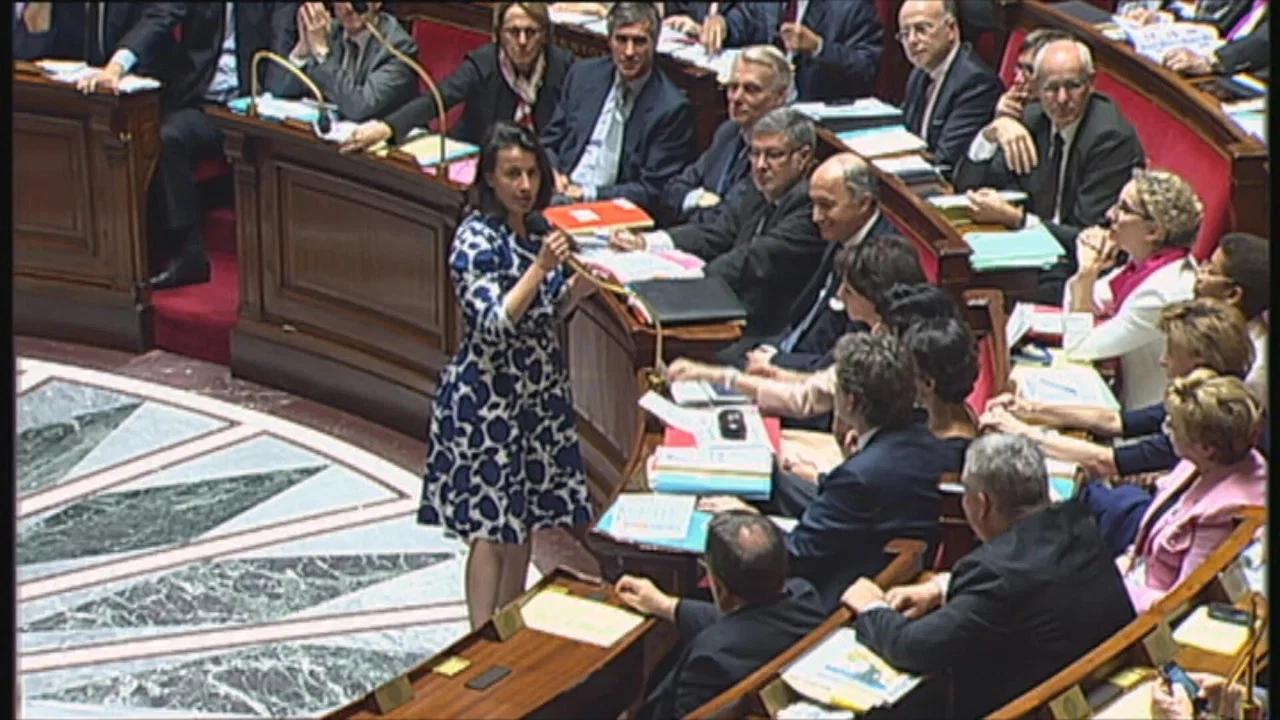 Femmes &agrave; l'Assembl&eacute;e : histoire d'un combat - 剧照