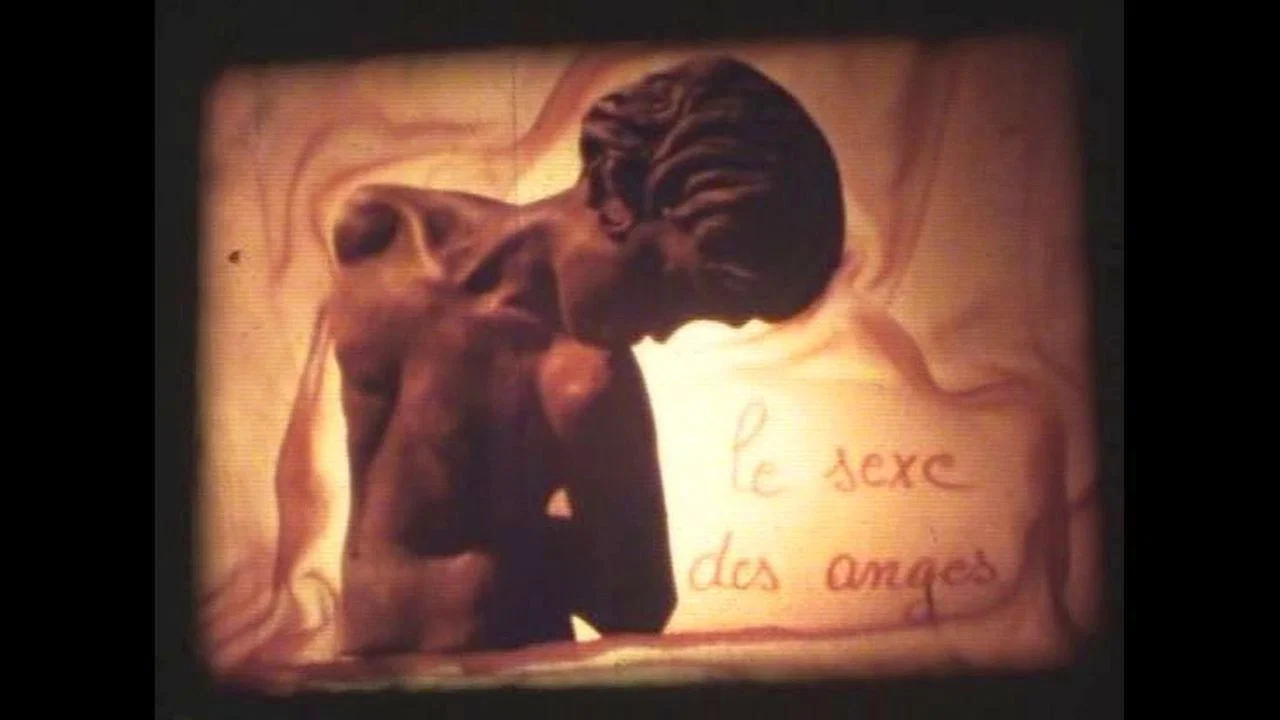 Le sexe des anges - 剧照