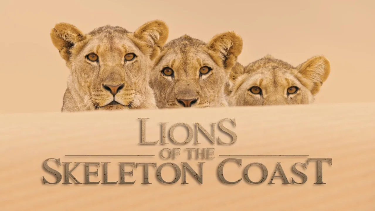 Lions of the Skeleton Coast - 剧照