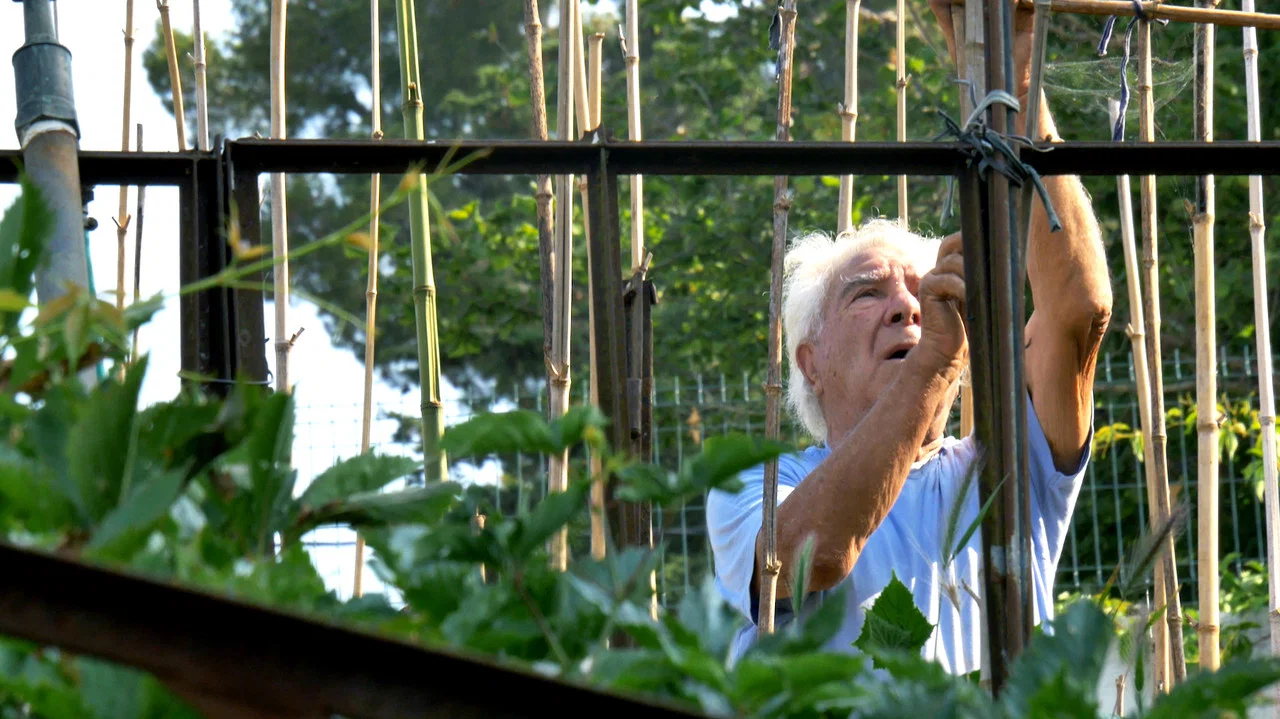 Le potager de mon grand-p&egrave;re - 剧照