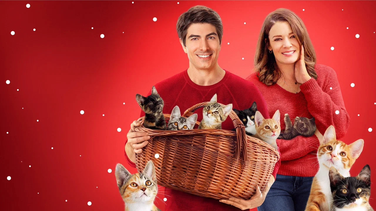 The Nine Kittens of Christmas - 剧照