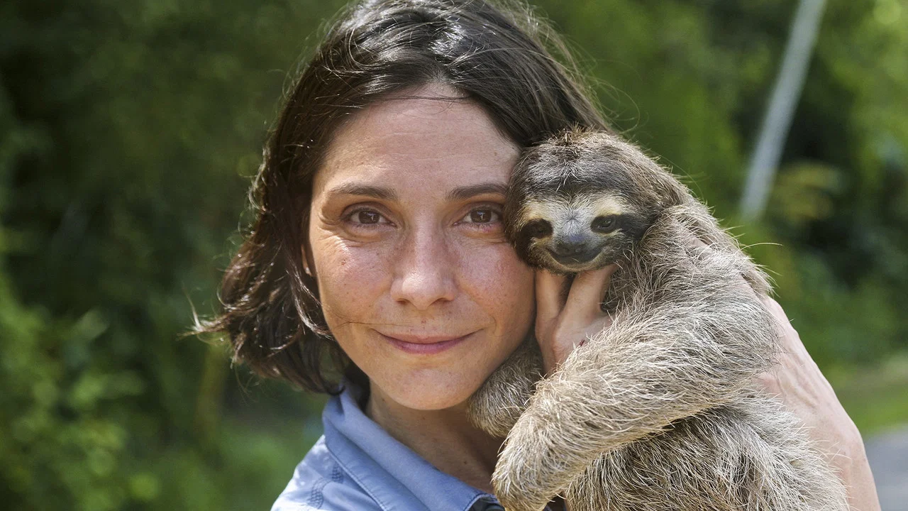 A Sloth Named Velcro - 剧照