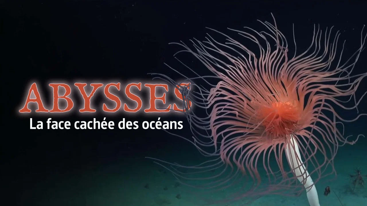 Abysses, la face cach&eacute;e des oc&eacute;ans - 剧照