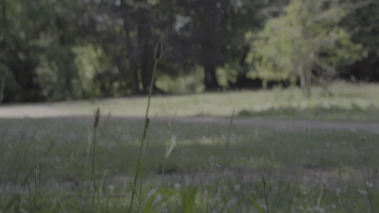 Le Zen - 剧照