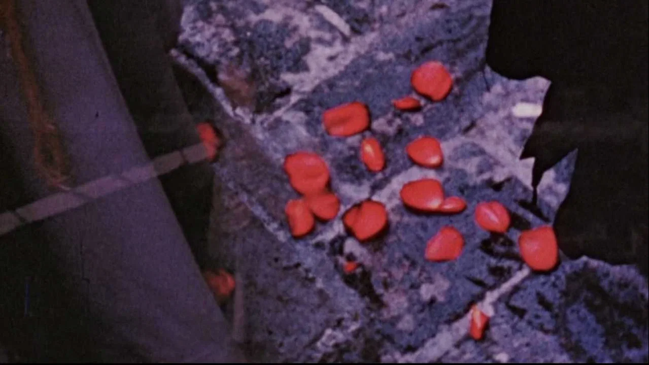 The Assignation - 剧照