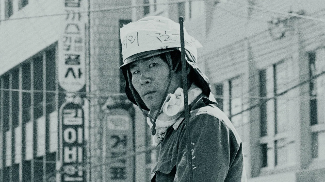 金君 - 剧照