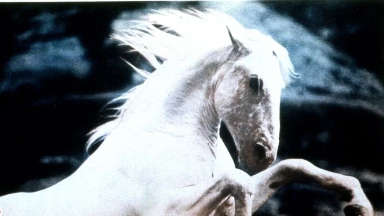 Silver Stallion - 剧照