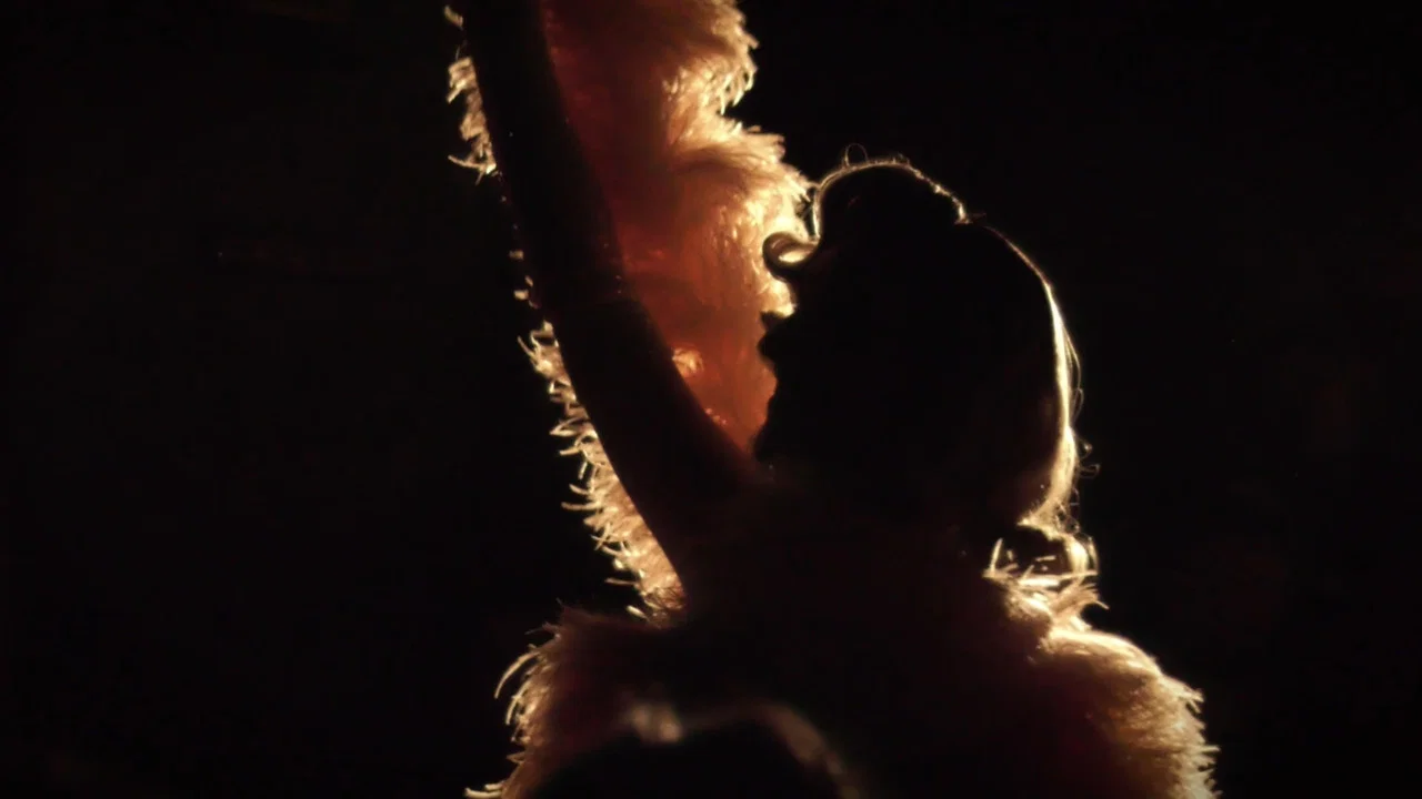 Les burlesqueuses - 剧照
