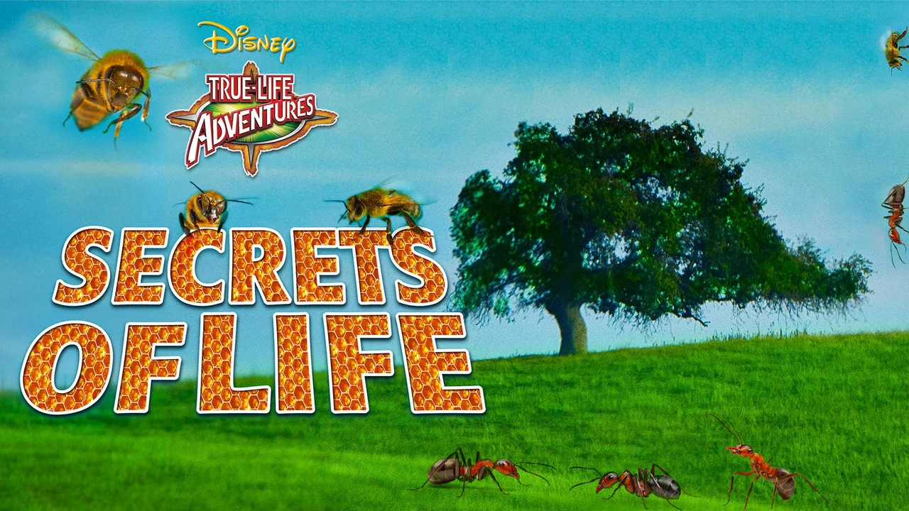 Secrets of Life - 剧照