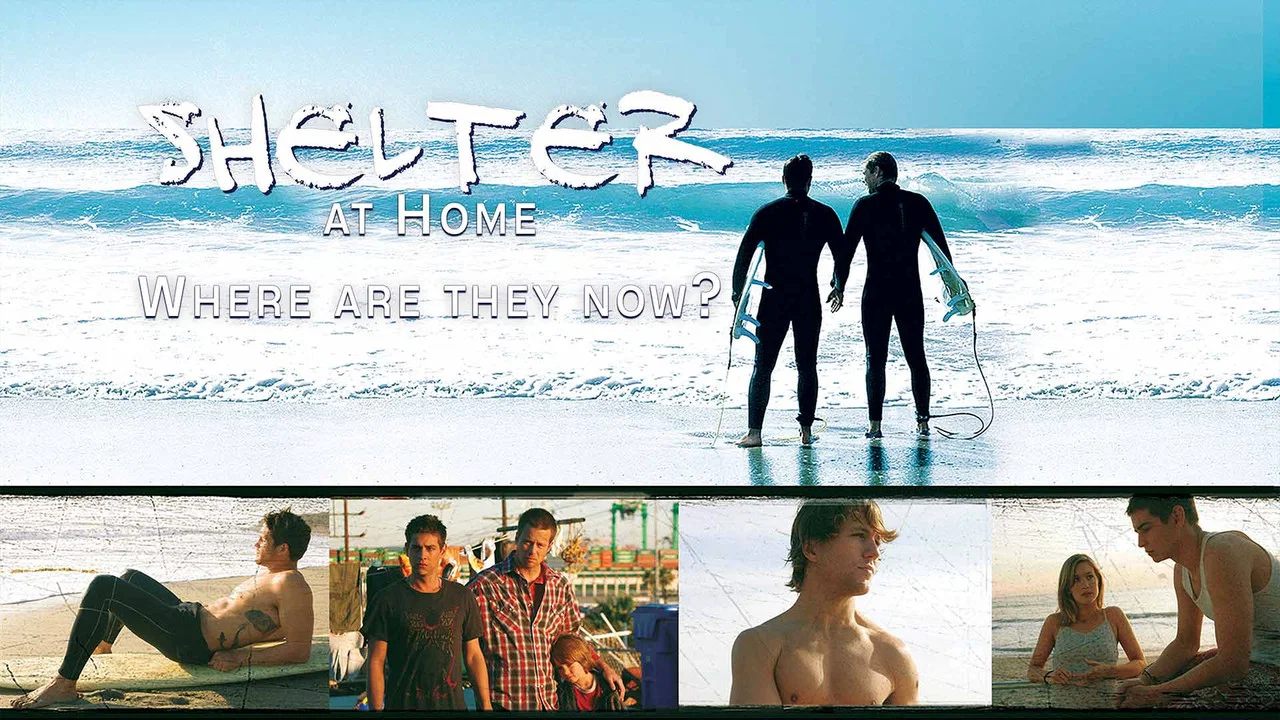 Shelter at Home: Where Are They Now? - 剧照