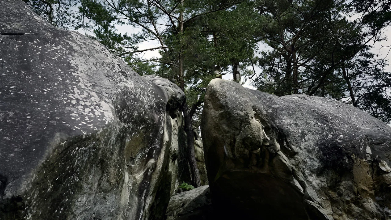 Aventure &agrave; Bleau - 剧照