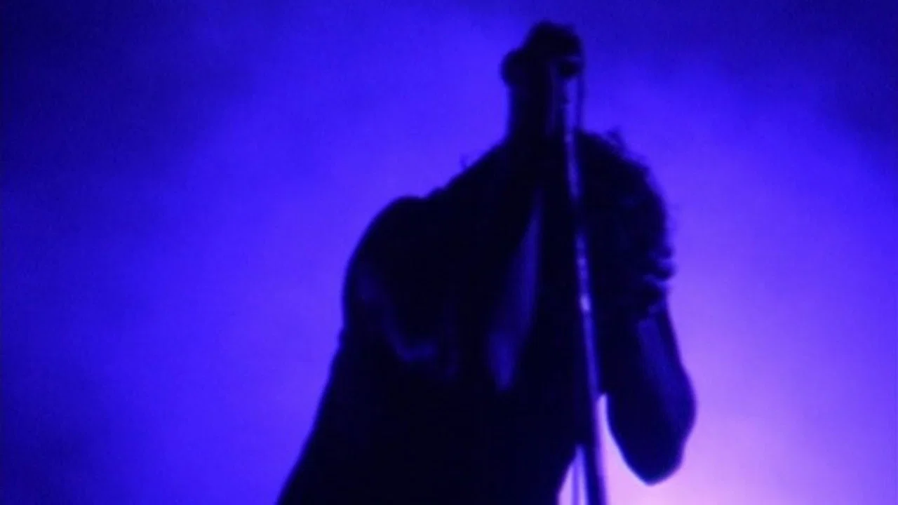 Nine Inch Nails Live: And All That Could Have Been  nails - 剧照