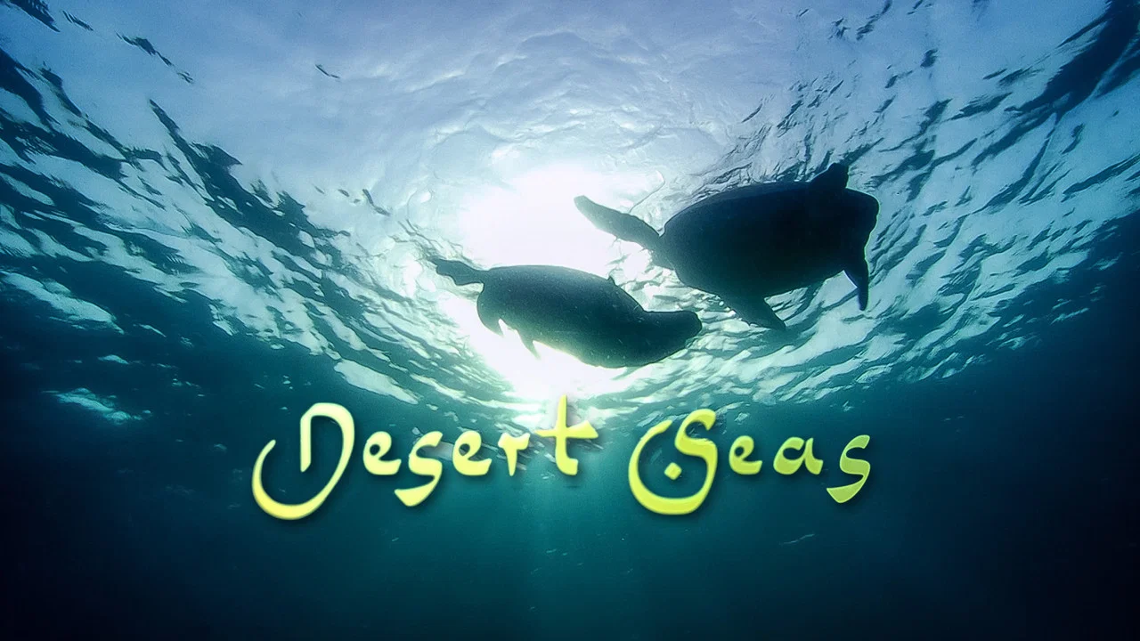 Desert Seas - 剧照