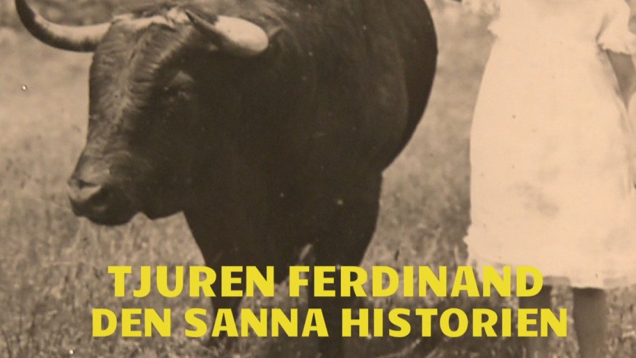 Tjuren Ferdinand - Den sanna historien - 剧照