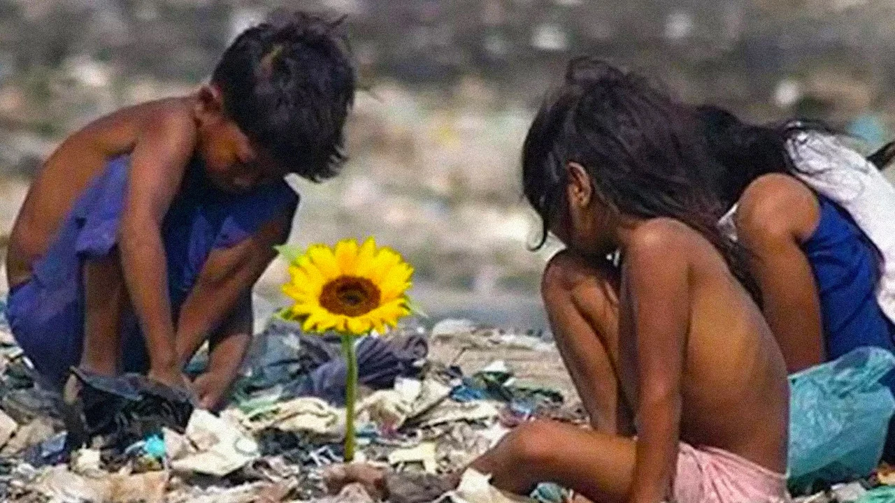 Ilha das Flores - 剧照
