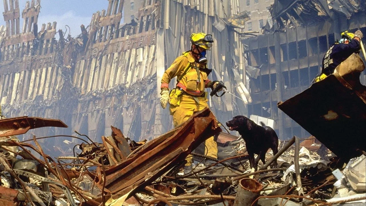 9/11 - 剧照