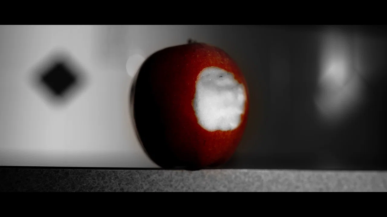 His Shadow - 剧照