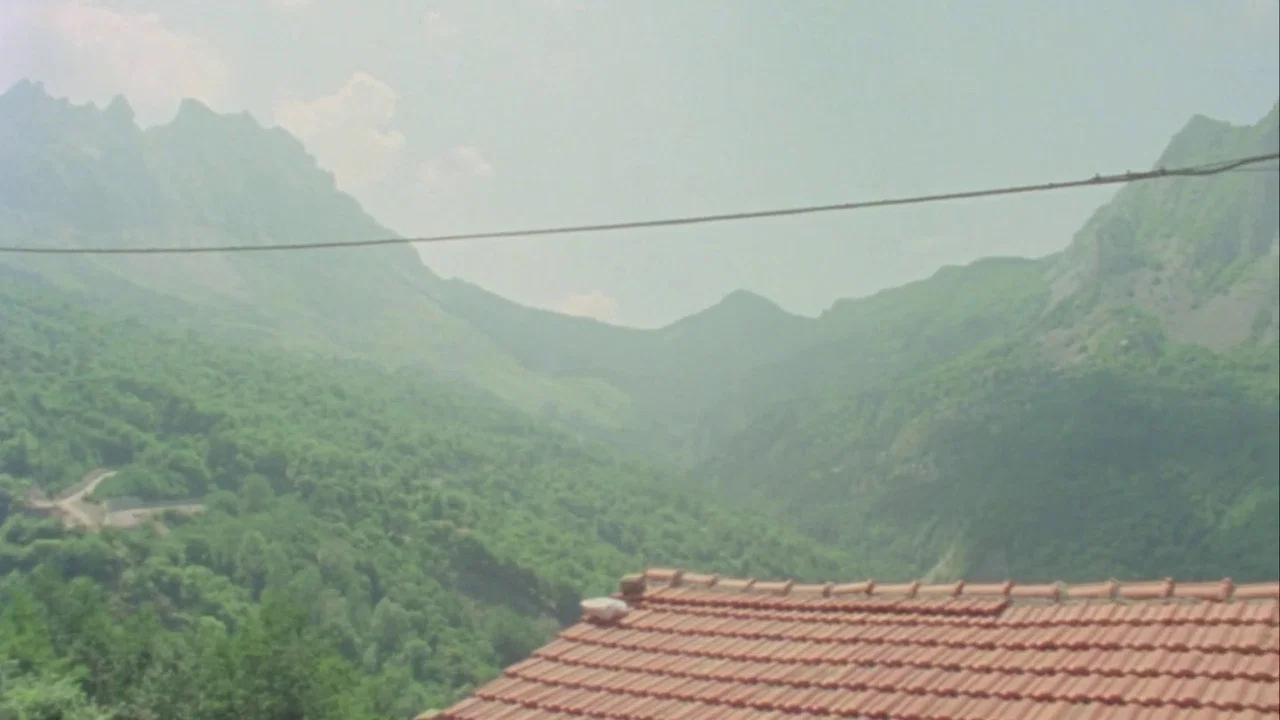 Fortini/Cani - 剧照
