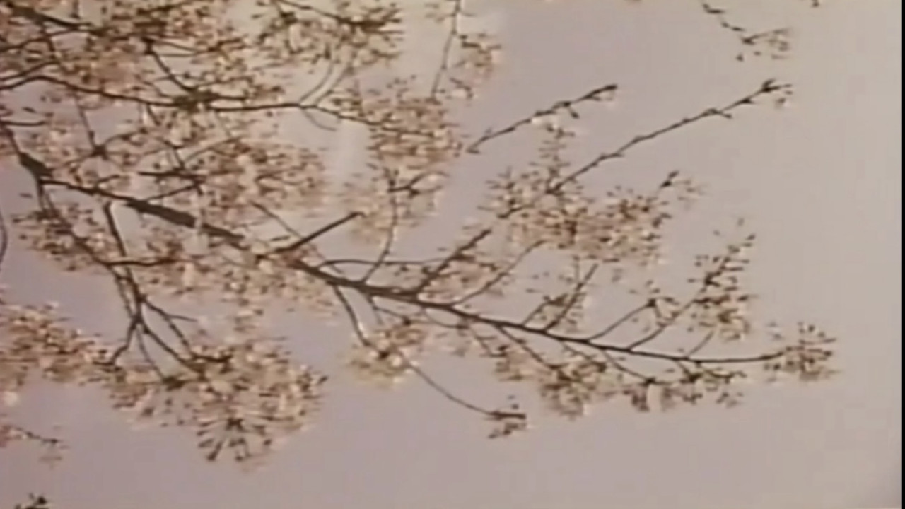 若奥様　太股びらき - 剧照