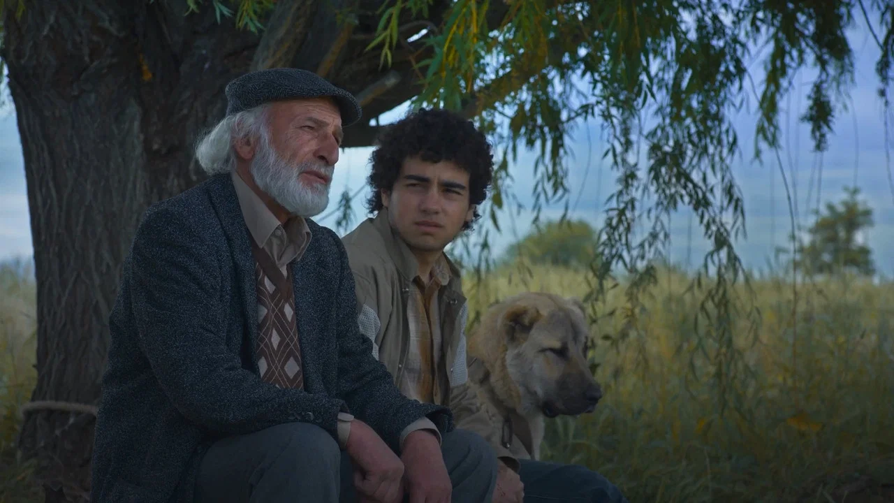 Արարատ Կղզի - 剧照