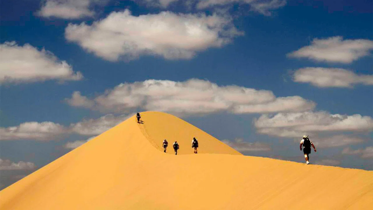Desert Runners - 剧照