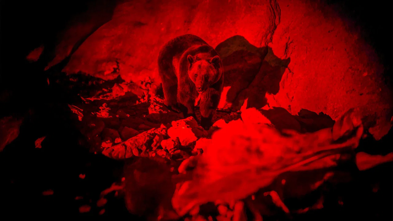Savage Hunt - 剧照