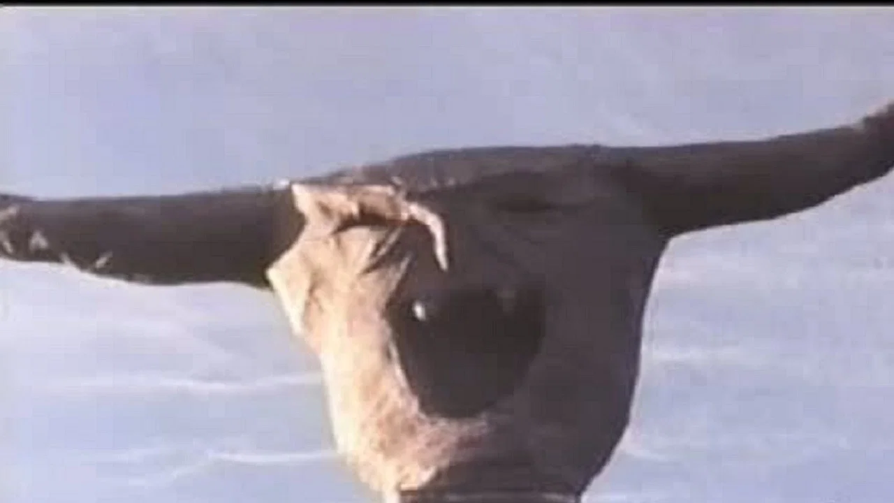 The Final Sacrifice - 剧照