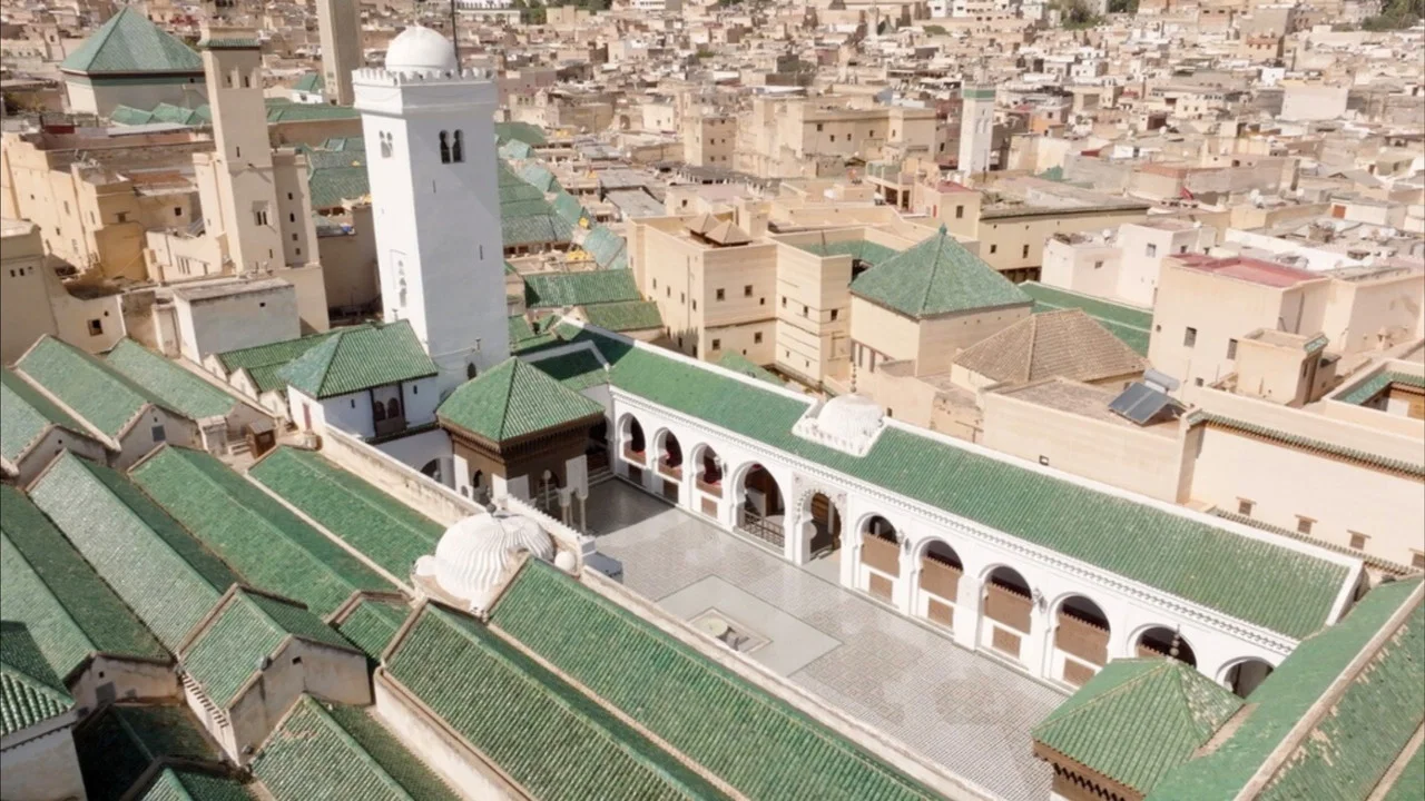 Les tr&eacute;sors oubli&eacute;s de la m&eacute;decine arabe - 剧照