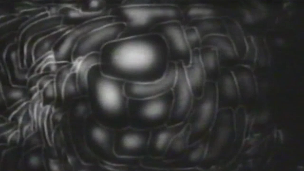 Modern Times: The Way of All Flesh - 剧照