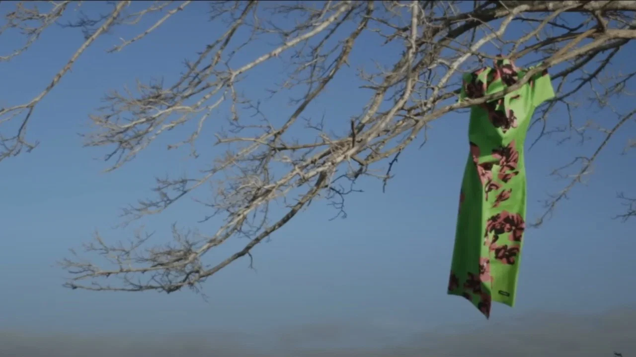 El Affaire Miu Miu - 剧照