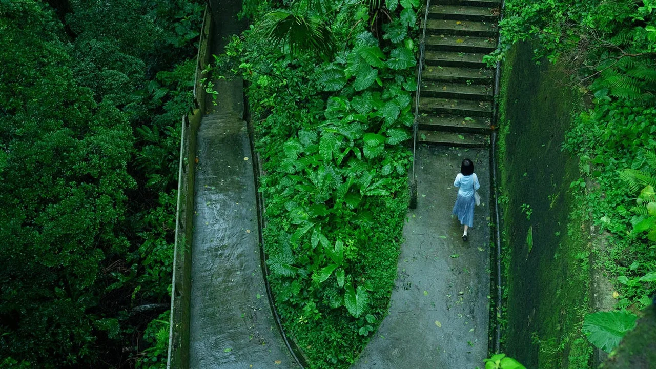 第一炉香 - 剧照