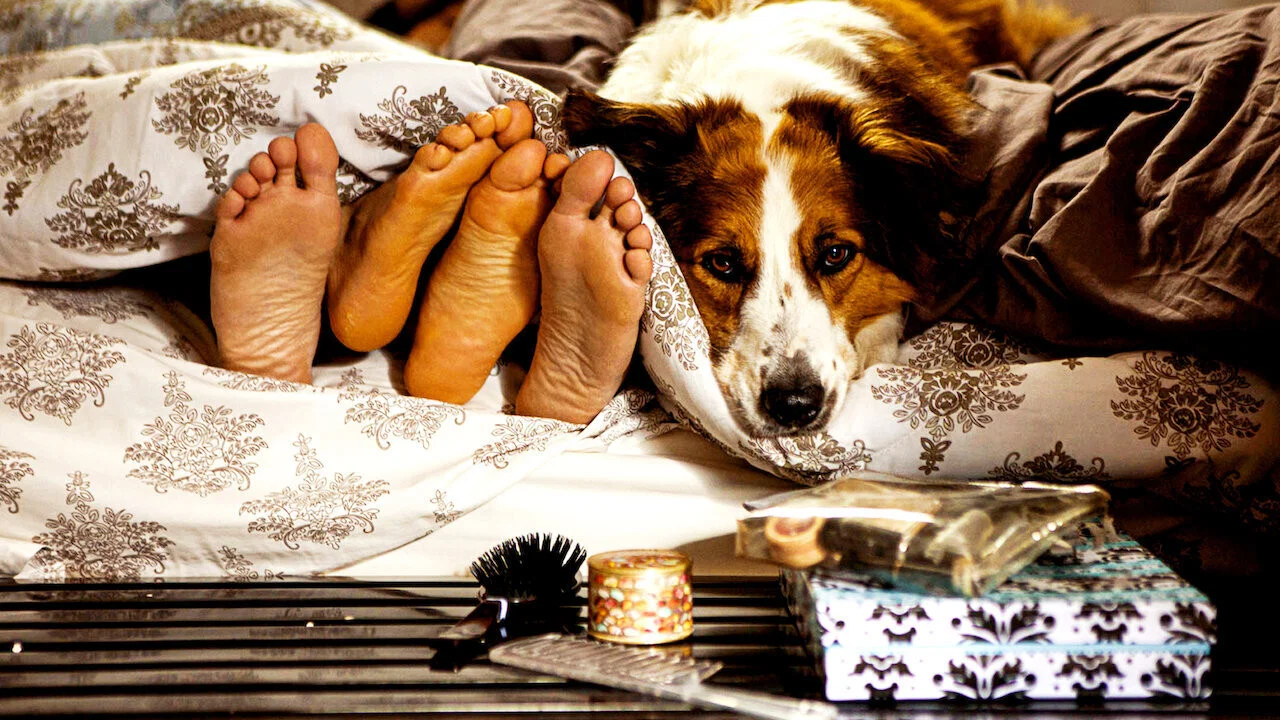 因犬而恋 - 剧照
