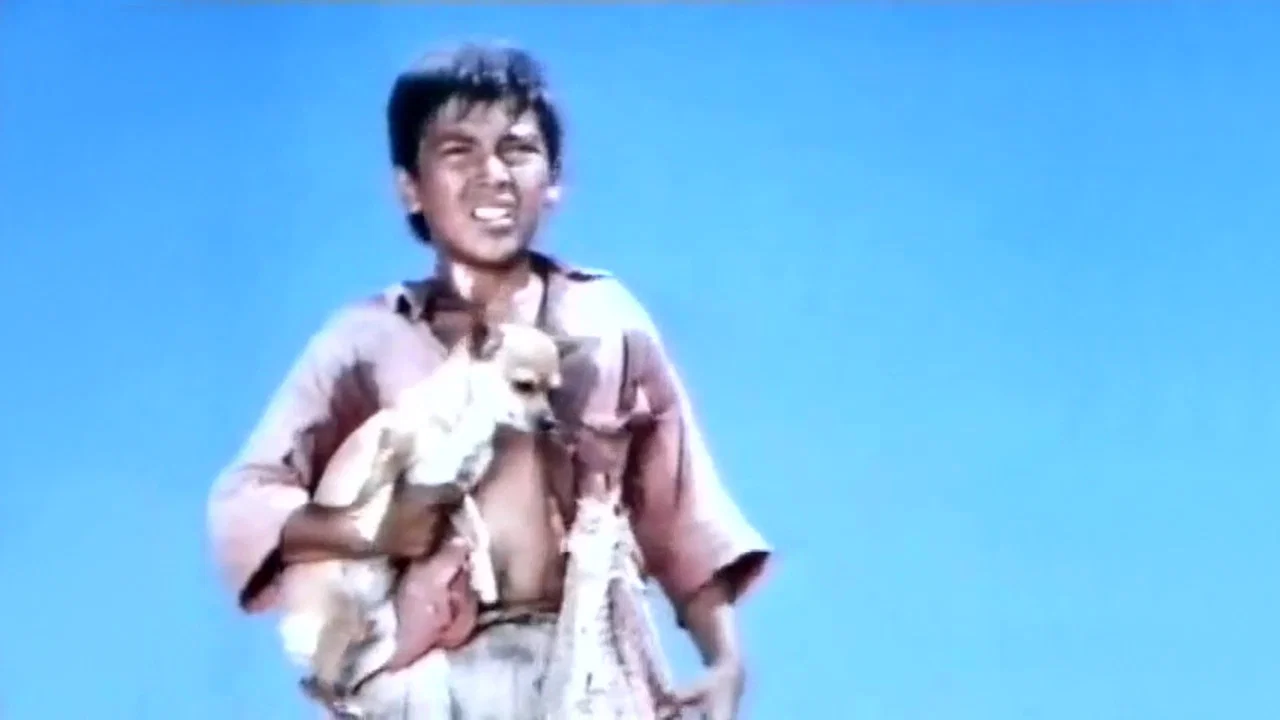 Pablo and the Dancing Chihuahua - 剧照