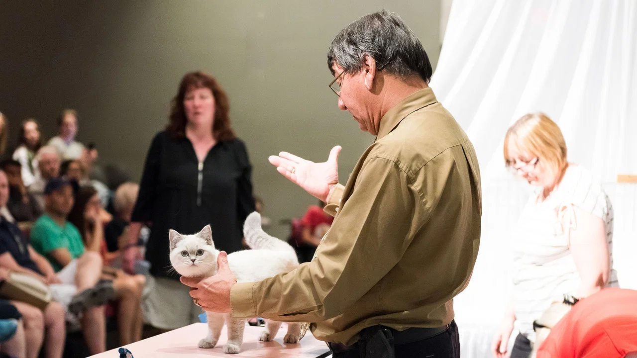 Catwalk: Tales from the Catshow Circuit - 剧照